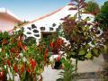 Casa Puntita 