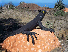 Echse mit Ferienhaus auf La Palma